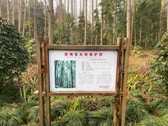 -上海怡沁园度假酒店