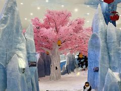 -湘江欢乐城欢乐雪域