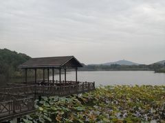 -上海市保健医疗中心(华东疗养院)
