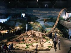-自贡恐龙博物馆