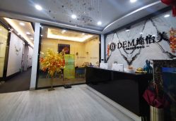 -DEM缔怡美科技美容