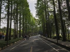 -青城山