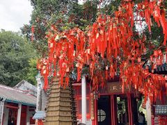 -国恩寺