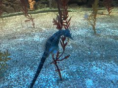 -上海海洋水族馆