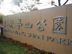 -羊山湖公园