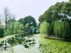 -韩湘水博园