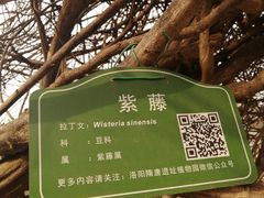 -洛阳市隋唐城遗址植物园