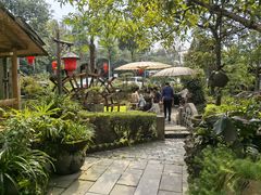 -青城甲(青城山店)