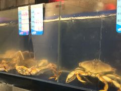 水产区-烧货·活海鲜炭烧(湖滨商业街店)