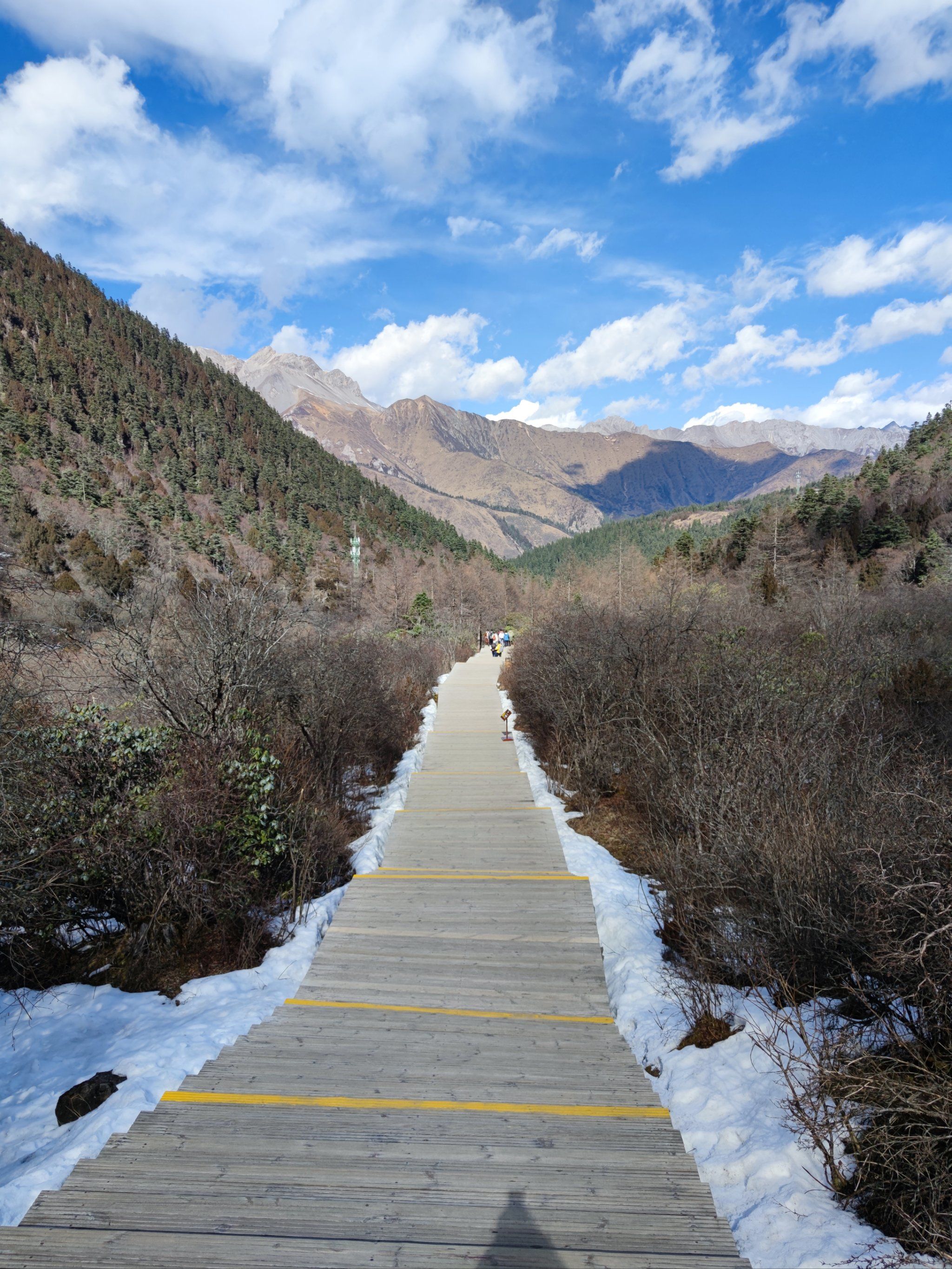 沿途的美景如画