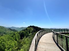 -山王坪喀斯特国家生态公园