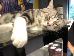 -咖法森林·咖啡  酒吧(天河店)