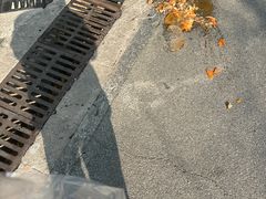 -龙师傅卤炒(天马店)
