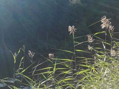 -香山公园-东宫门售票处