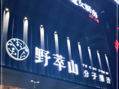 -野萃山·潮汕厚果汁(十亩地店)