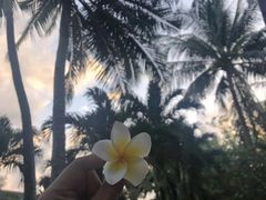 -白沙滩