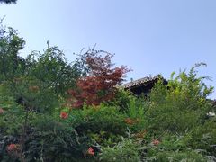 -威海华夏城景区