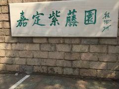 -嘉定紫藤园