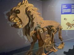 -国家自然博物馆