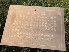 -松江清真寺