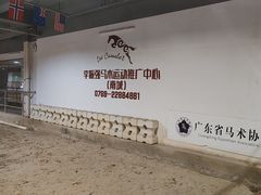 -李振强马术运动推广中心(南城店)