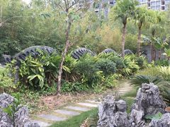 -大亚湾红树林城市湿地公园