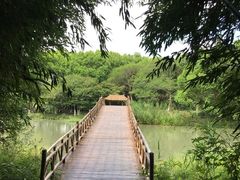 -沙家浜风景区