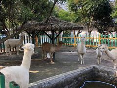 -南丹山森林王国