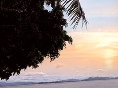-深圳湾公园(南山区)