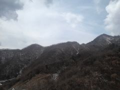 -六里坪国家森林公园
