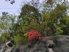-小南山公园