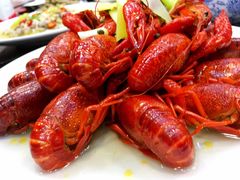 -骄傲de小龙虾 · 全羊馆(新北万达店)
