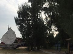 -北海金海湾红树林生态旅游区