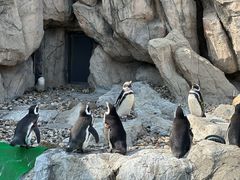 -上海野生动物园