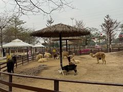 -盈香心动乐园