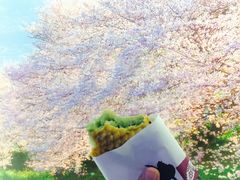 -粉粉乐鲷鱼烧(美罗城店)