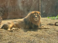 -昆明动物园