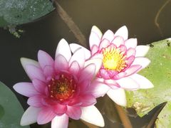 -宁波杭州湾国家湿地公园