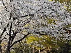 -中国茶叶博物馆(双峰馆区)