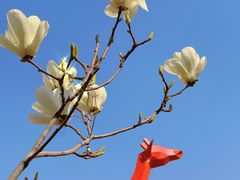 -北运河水利风景区