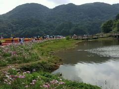 -广州市石门国家森林公园