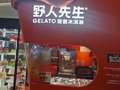 -野人先生现做冰淇淋(北京王府井东方新天地店)