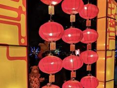 -长春市南湖公园