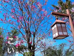 -清远熹乐谷温泉度假酒店
