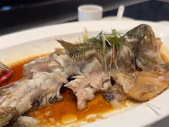 -眉州东坡(北苑华贸店)