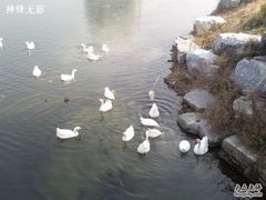 -上海海洋大学(临港校区)