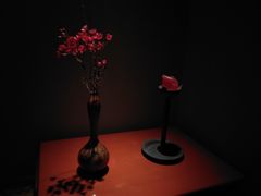 -觀芷隐轩