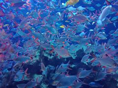 -成都浩海立方海洋公园