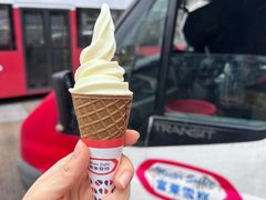 -富豪雪糕车流动点(尖沙咀店)