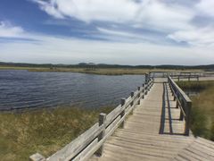 景点-塞罕坝国家级自然保护区